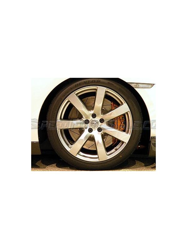 AUTO SELECT REAR ROTORS WITH CALIPER STAY