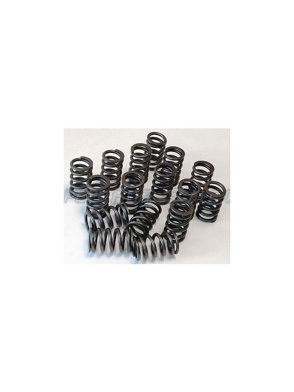 KELFORD GT-R VALVE SPRING SET