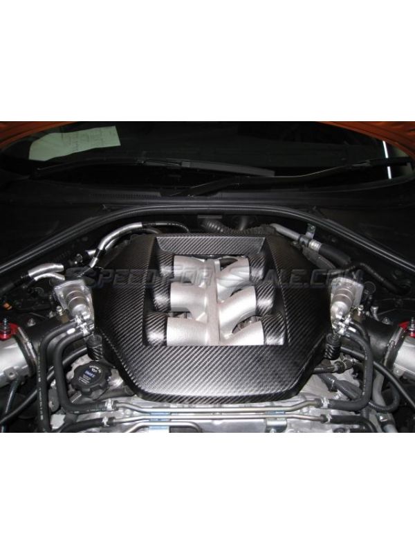 ZELE DRY CARBON FIBER ENGINE COVER